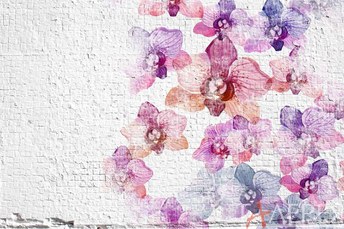 стена, кирпичная стена, коллаж, орхидеи, рисунок, орхидеи на стене, акварель
