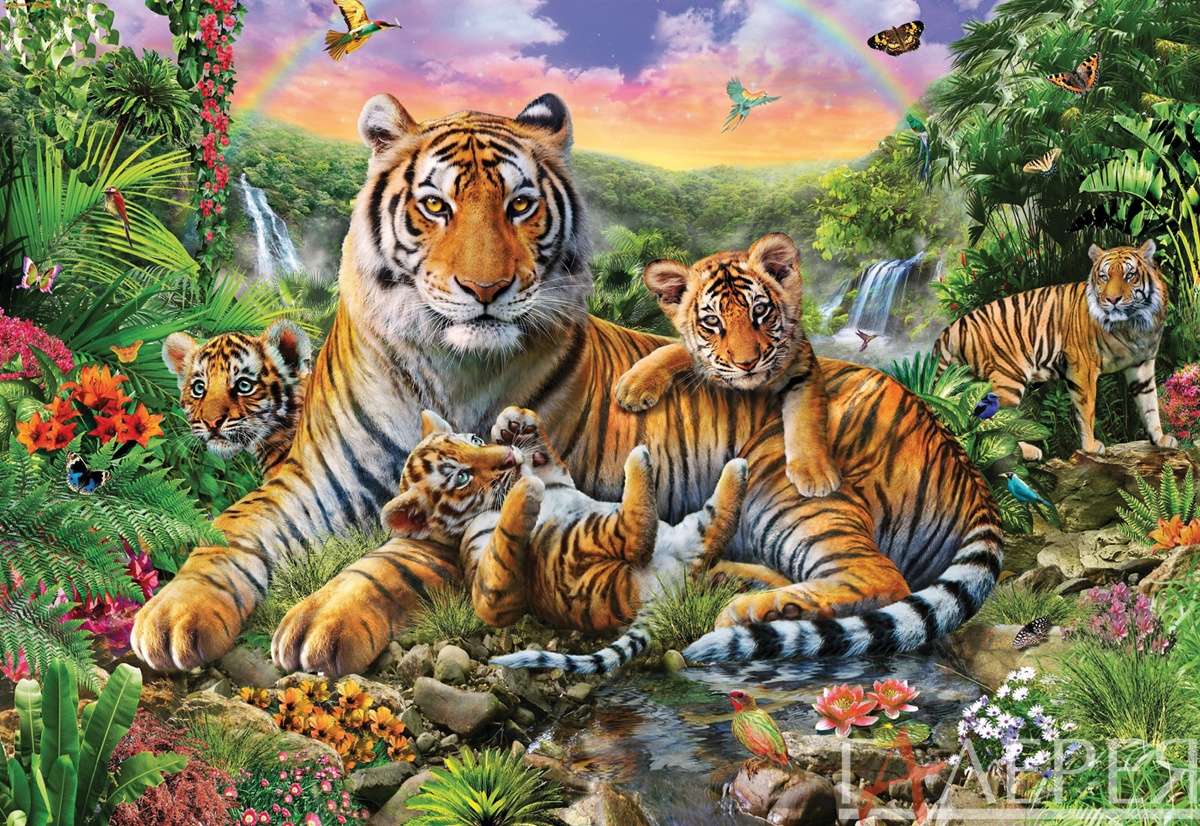 Животные, Дикие кошки, тигр, тигрята, Африка, ручей