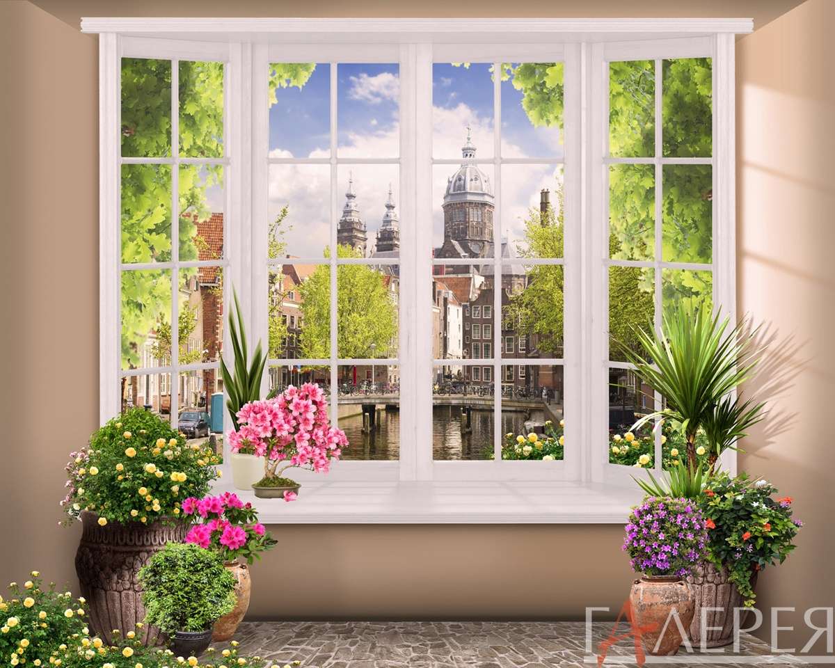 Окна, окно, вид на город, вазон, вазоны, цветы, пальма, вид из окна