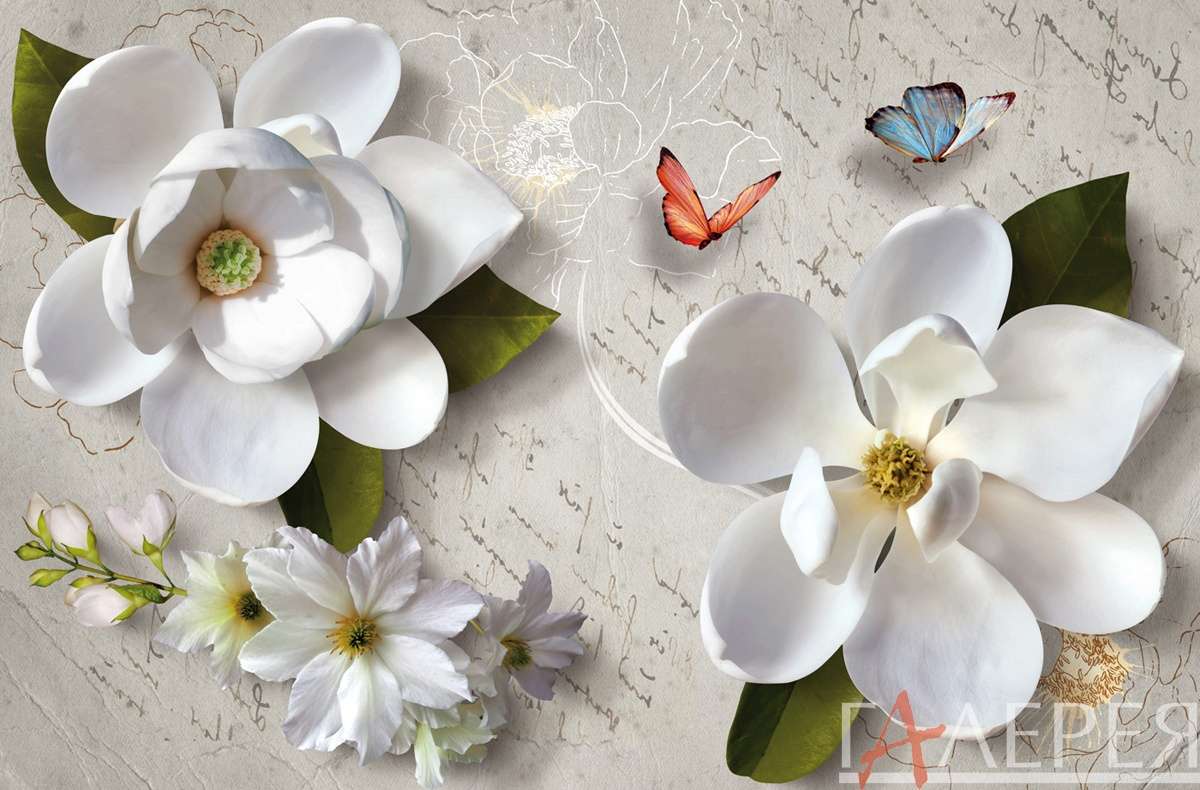 3D обои, цветы, магнолия, надписи, бабочка, 3d