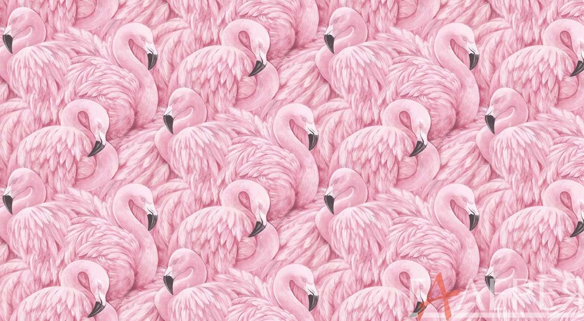 фламинго, живопись, много фламинго, перья, розовые фламинго