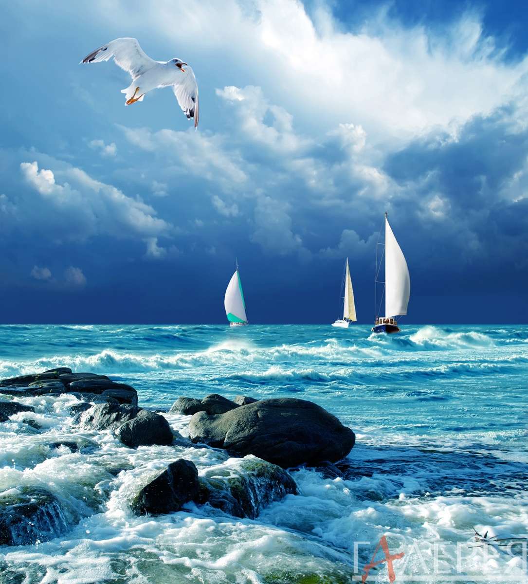 природа, море, океан, камни, волны, небо, облака, чайка, парусник, шторм, вода