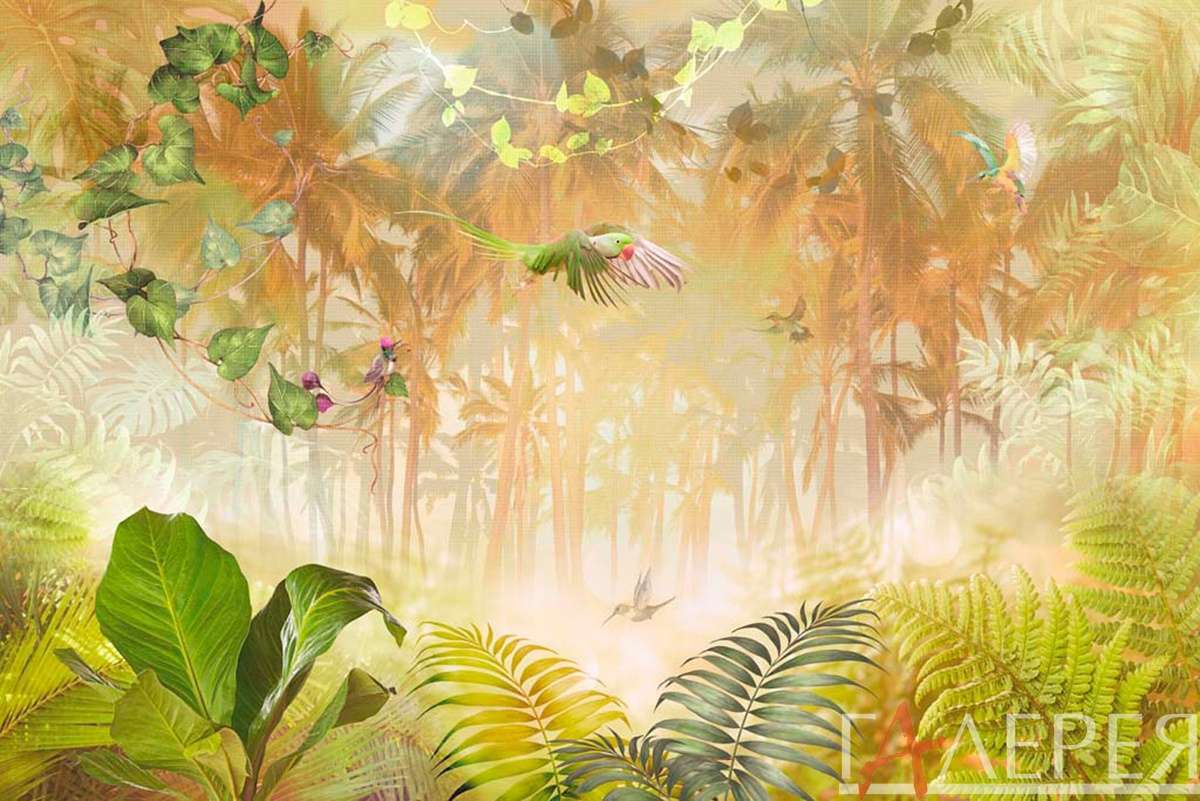 ботаника, тропики, тропический лес, папоротник, пальмы, листья, пальмовые листья, попугай, птицы, туман, лиана
